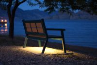 Wishbone-Rutherford-Wide-Body-Bench-with-LED-lights-Peachland-BC